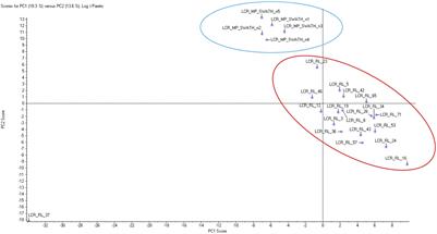 Cerebrospinal Fluid Proteomics in Friedreich Ataxia Reveals Markers of Neurodegeneration and Neuroinflammation